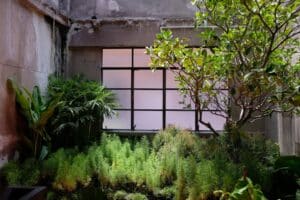 Garden,Room,,Living,With,Nature,,Biophilic,Interior,Design.,Many,Different